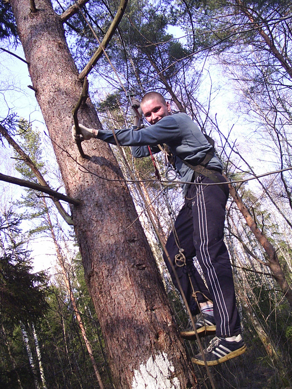 Аркадий Маликов поднимается на дерево на жумаре 2004 г.
